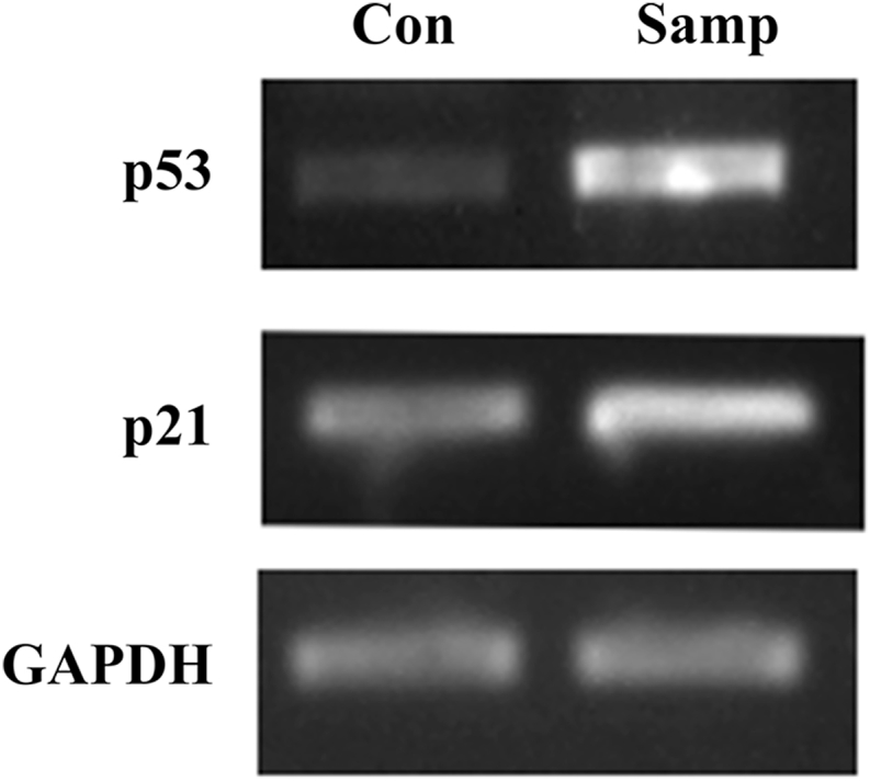 Fig. 5