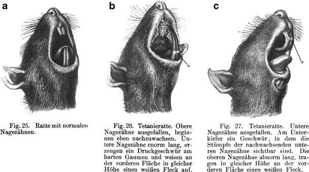 Fig. 8