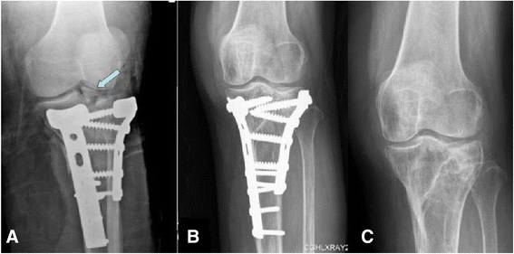 Fig. 8