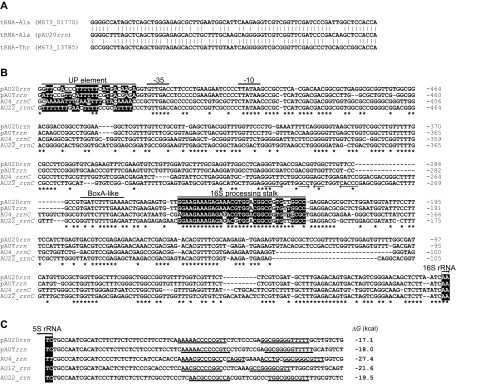 Fig. S2.