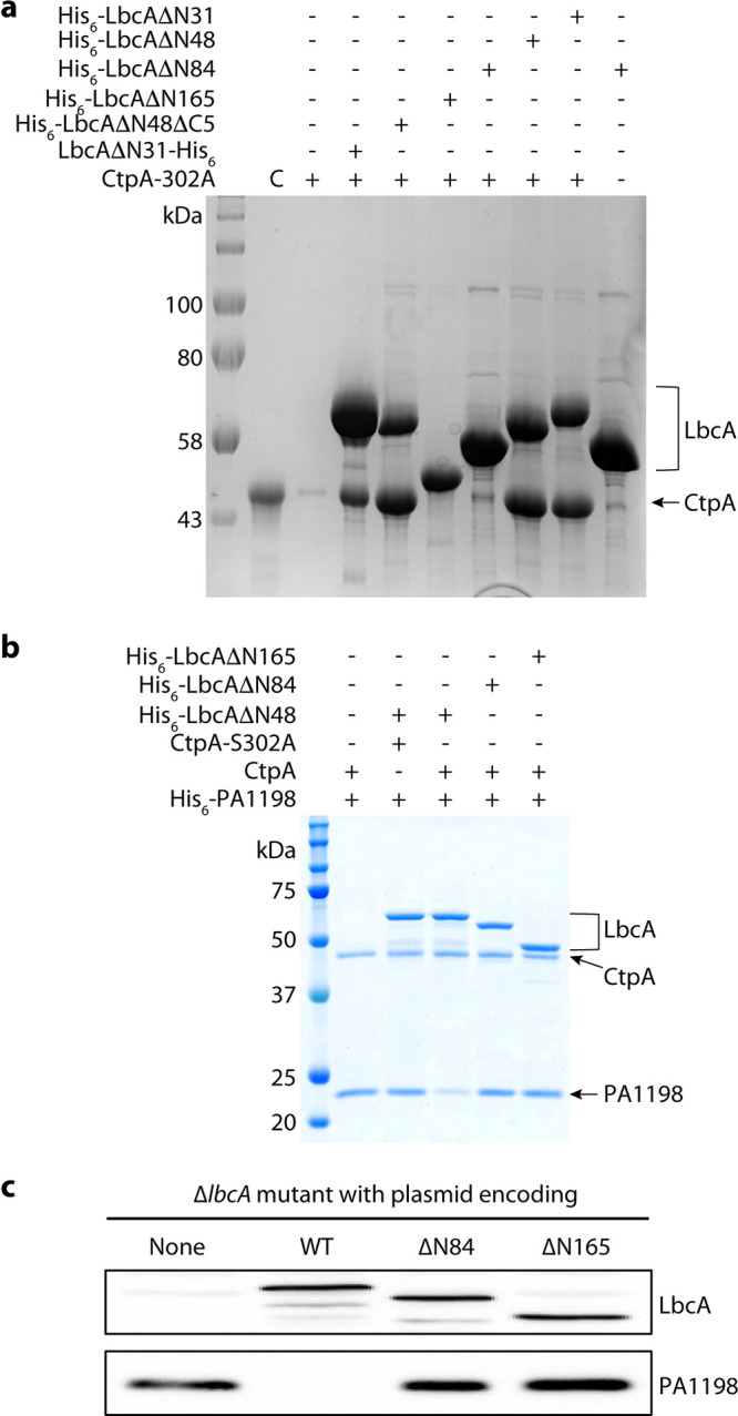 FIG 6