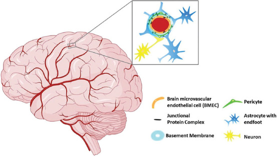 FIGURE 1