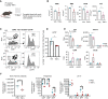 Figure 5. TNFα induces inflammatory remodeling of stromal niches and a reduction in HSPC numbers in mice. A, Experimental design of TNFα administration to C57BL/6 mice. Five daily i.p. injections at a dose of 5 μg were administrated followed by flow-cytometric assessment of BM stromal niches in collagenased bone fractions. B, Cytopenia (anemia and thrombocytopenia) in TNFα-treated mice. **, P < 0.01 by an unpaired t test. C and D, Relative loss of LEPR+ BMSCs within the niche fraction upon TNFα exposure. **, P < 0.01 by an unpaired t test. E, Expression of inflammatory makers and HSPC niche factors in CD51+ LEPR+ and CD51+LEPR− BMSCs after TNFα injection in mice. *, P < 0.05 by an unpaired t test. F, Number of total BM cells, committed progenitors, and LKS HSPC subtypes in mice after TNFα injection. *, P < 0.05; **, P < 0.01 by an unpaired t test. Error bar represents mean ± SE. Veh, vehicle; WBC, white blood cell count; RBC, red blood cell count; HGB, hemoglobin; PLT, platelet.