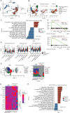 Figure 4. Nonleukemic hematopoiesis is suppressed in patients with AML, whereas NPM1-mutant cells display relative resistance. A, Uniform manifold approximation and projection (UMAP) distribution of NPM1-mutant (NPM1m; red) and residual normal/preleukemic cells (resid.norm/preleuk; blue) in the AML BM. NA (gray), not assignable. B, Distribution of normal, residual normal/preleukemic, and NPM1m cells within the HSPC and myeloid fractions in NBM and AML. C, Differentially expressed transcriptional programs in residual normal/preleukemic HSPCs in AML compared with HSPCs in NBM, as demonstrated by Hallmark analysis. Positive NES (normalized enrichment score) reflects programs enriched in residual normal, whereas negative scores indicate enrichment in NBM. All cells in HSC/MPPs, LMPPs, MEPs, erythroid progenitors, and GMP/monoblasts clusters were analyzed. D, Overexpression of Hallmark transcriptional signatures indicative of NFkB signaling, Apoptosis and P53 signaling in residual normal/preleukemic HSPC in comparison with their counterparts in the human NBM. ****, Padj < 0.0001 by the Wilcoxon test. E, Distribution and frequencies of HSC/MPP subsets of residual normal/preleukemic HSPCs in comparison with NBM. In two (out of six) AML samples, insufficient cells could be retrieved in the HSC/MPP subset for analysis. F, Enrichment of transcriptional programs indicative of low-output, quiescent, HSCs in residual normal/preleukemic HSC/MPPs in AML in comparison with their counterparts in the human NBM. G, Heat map for low- and high-output HSC marker genes in NBM and residual normal/preleukemic HSC/MPP population across all samples. H, Differentially expressed transcriptional programs in NPMm cells within the HSPC subsets in comparison with residual normal/preleukemic HSPCs, as demonstrated by Hallmark analysis. Positive NES (normalized enrichment score) reflects programs enriched in NPM1m HSPCs, whereas negative scores indicate enrichment in residual normal/preleukemic HSPCs. All cells in HSC/MPPs, LMPPs, MEPs, erythroid progenitors, and GMP/monoblasts clusters were used in the analysis.