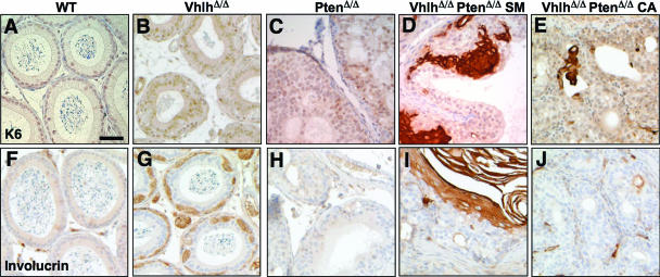 FIG. 9.