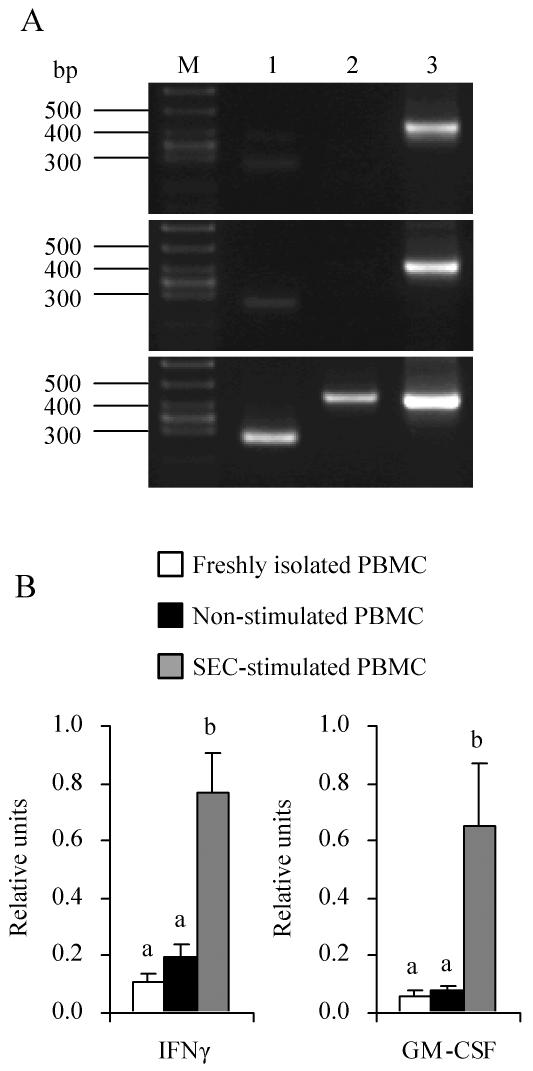 FIG. 7.