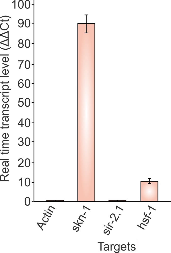 Figure 4