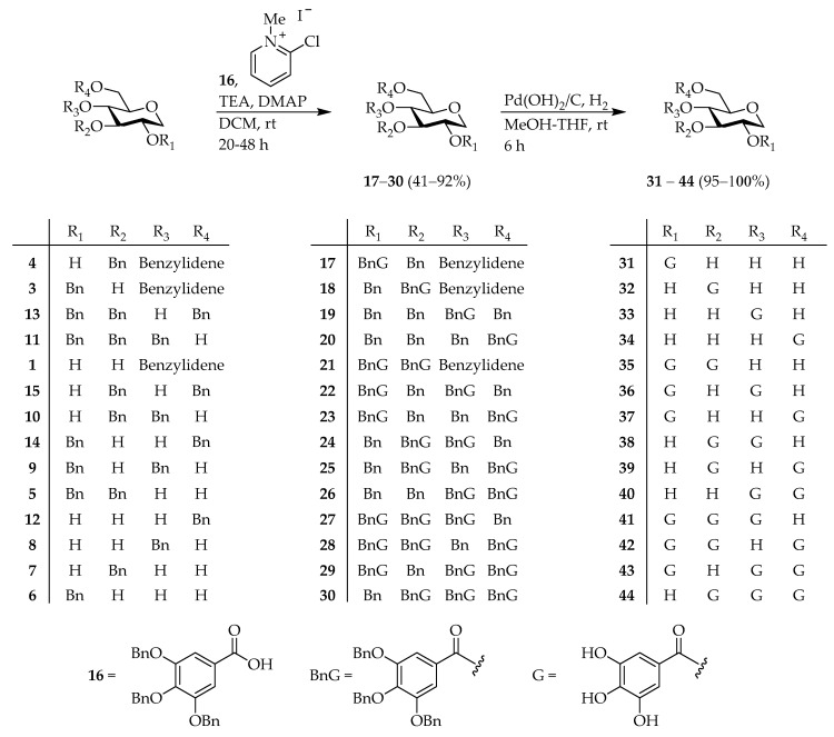 Scheme 3