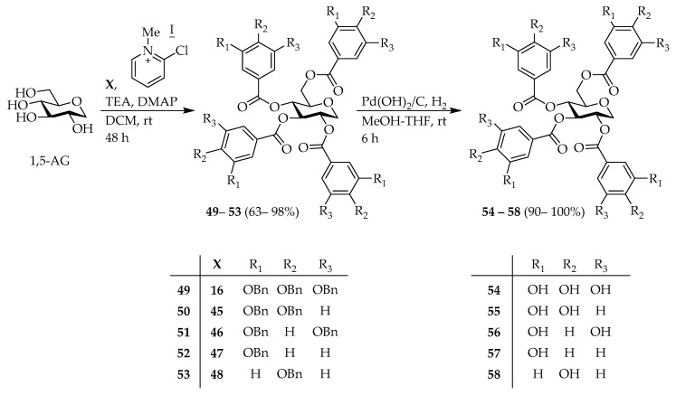 Scheme 5