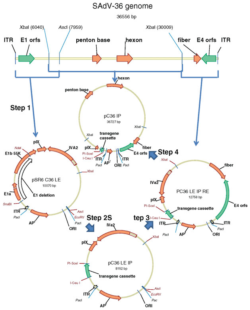 Figure 2.