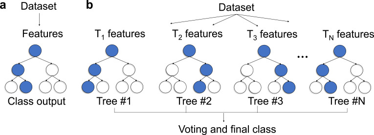 FIG. 13.