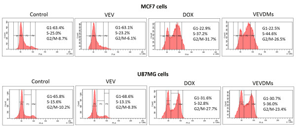 Figure 13