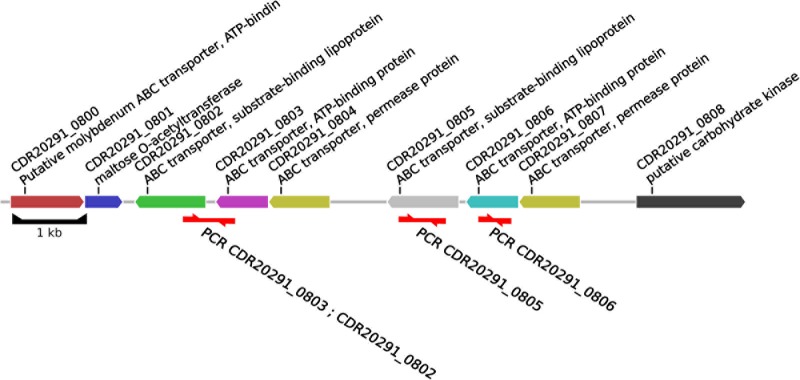 FIGURE 2