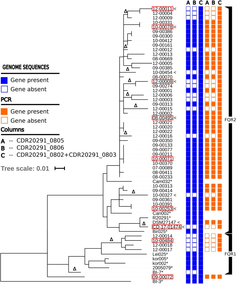 FIGURE 1