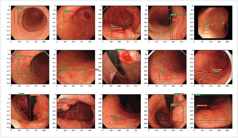 Fig. 2