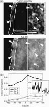 FIGURE 6