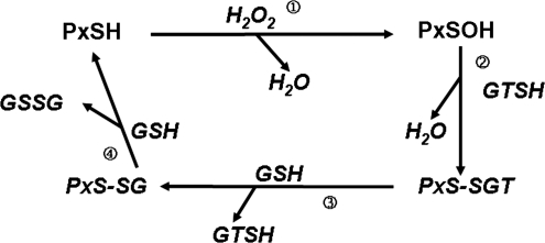 FIG. 5.