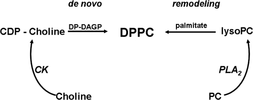 FIG. 9.