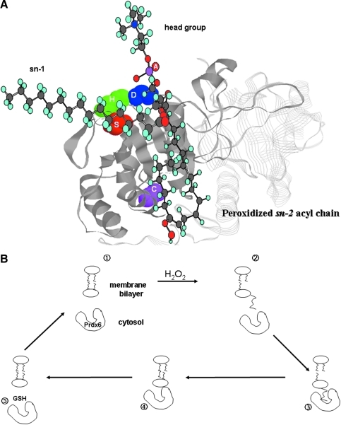 FIG. 6.