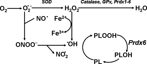 FIG. 8.