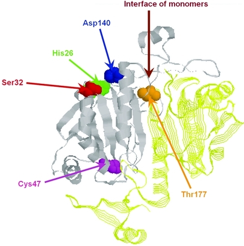 FIG. 7.