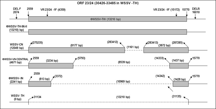 Fig. 3