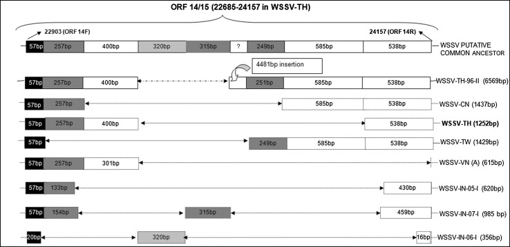 Fig. 2