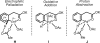 Scheme 10