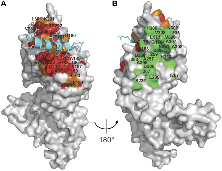 Figure 4.