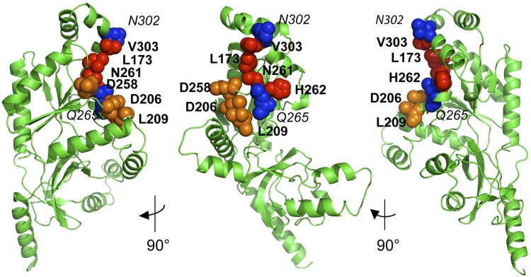 Figure 6.