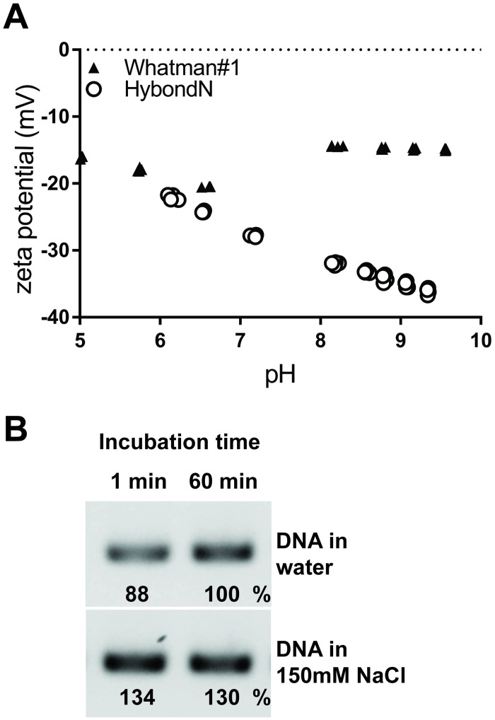 Fig 5