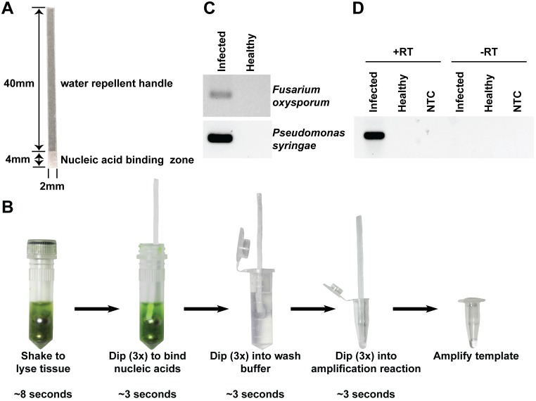 Fig 6