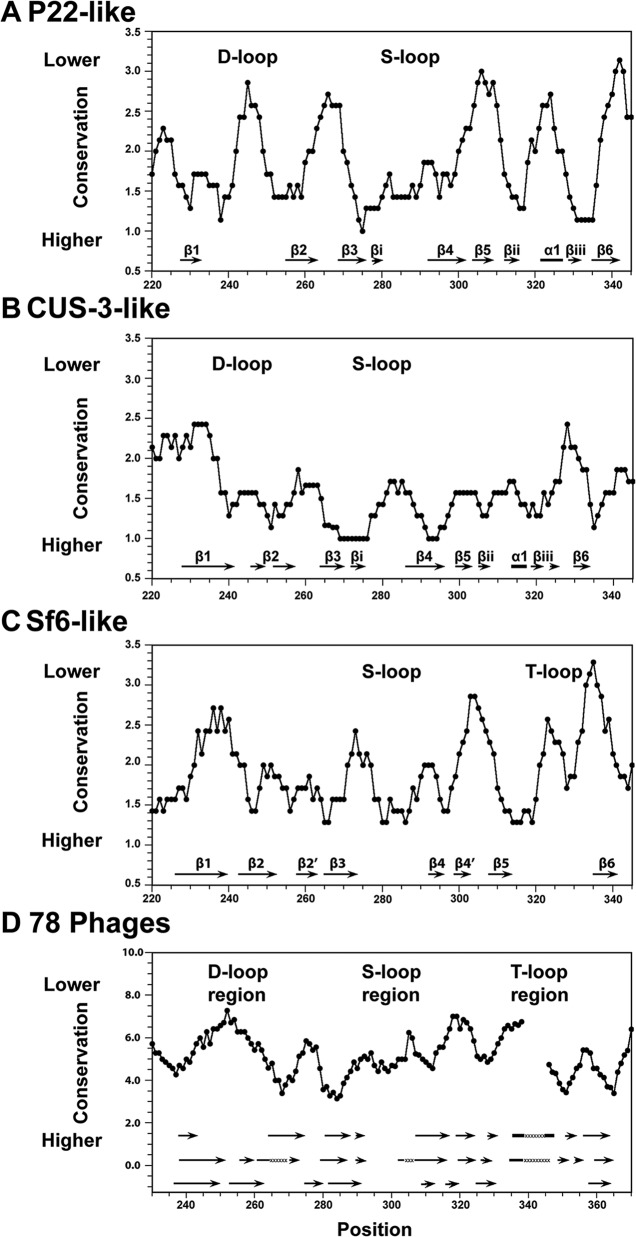 FIG 6