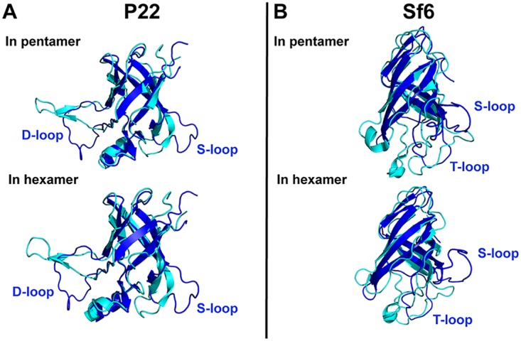 FIG 2