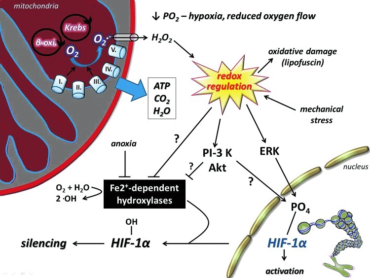 FIG. 14.