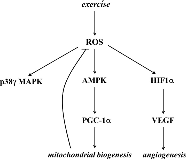 FIG. 12.