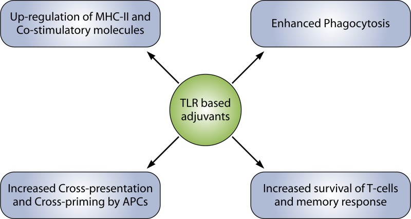 FIG 3