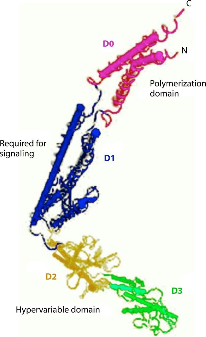 FIG 4