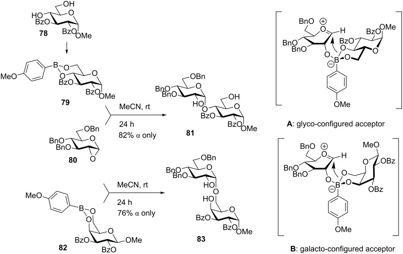 Scheme 19