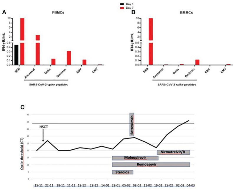 Figure 1