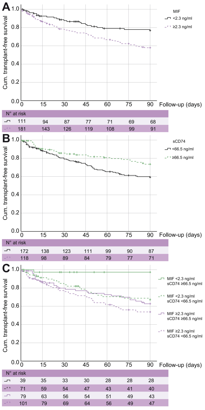 Fig. 2