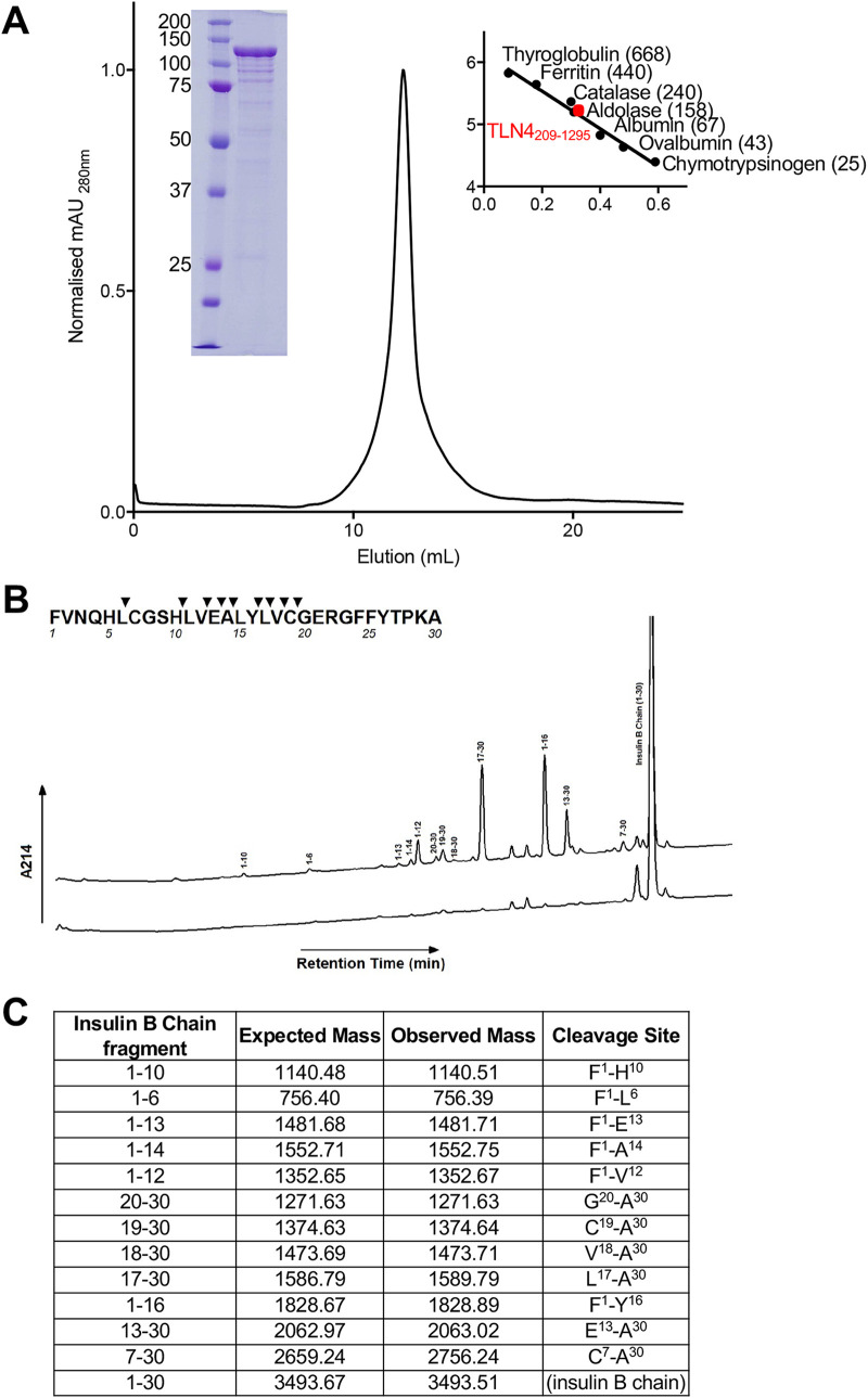 FIG 2