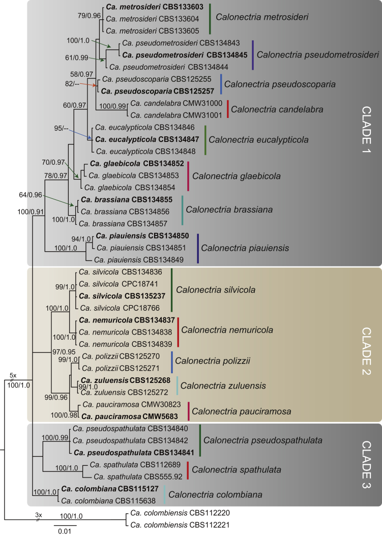 Fig. 4