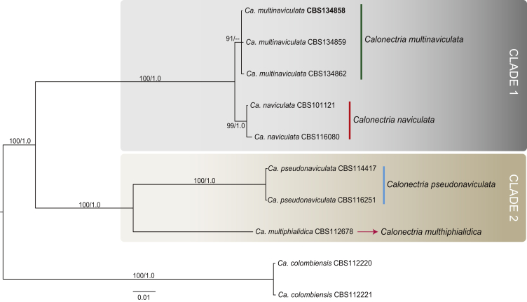 Fig. 3