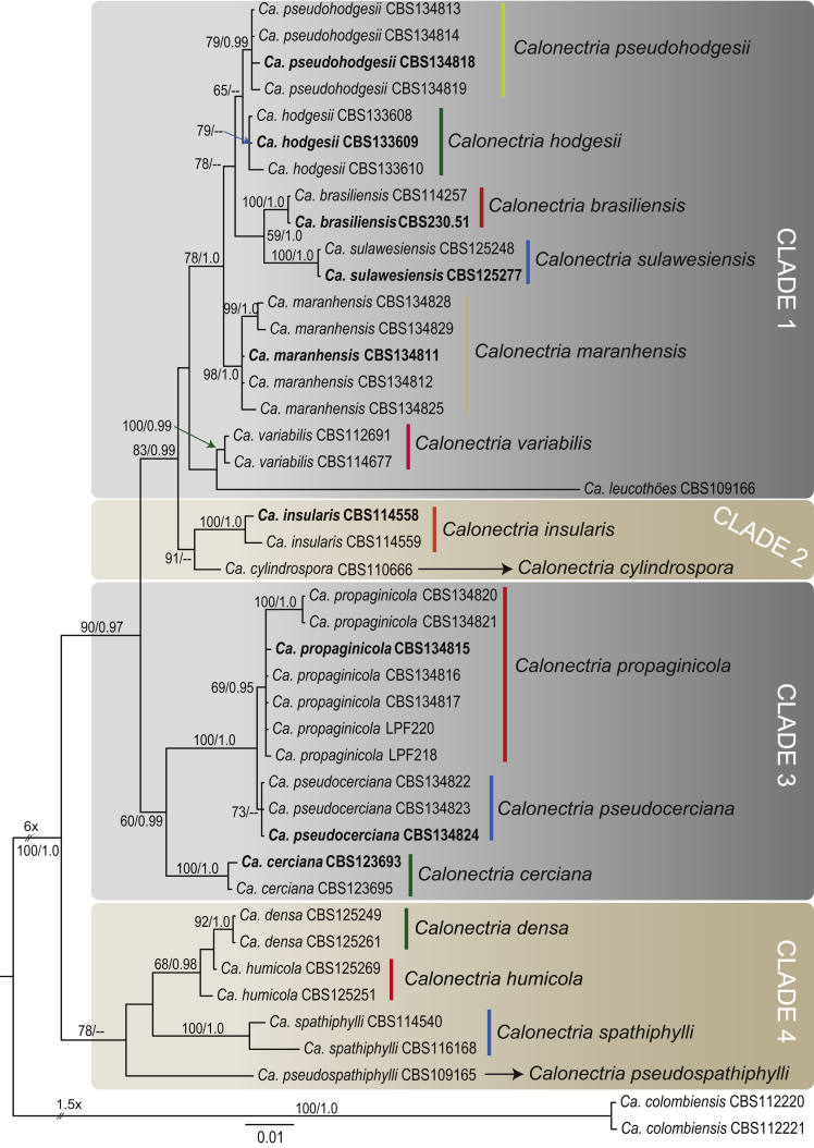 Fig. 2