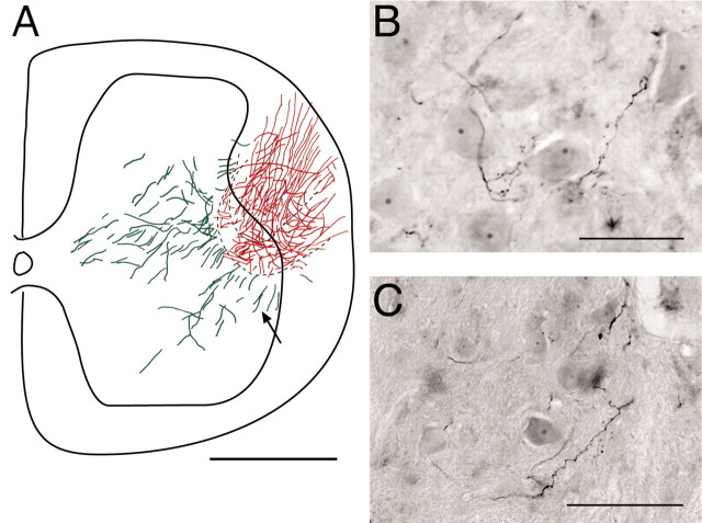 
Figure 9.
