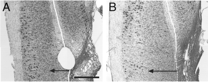 
Figure 10.
