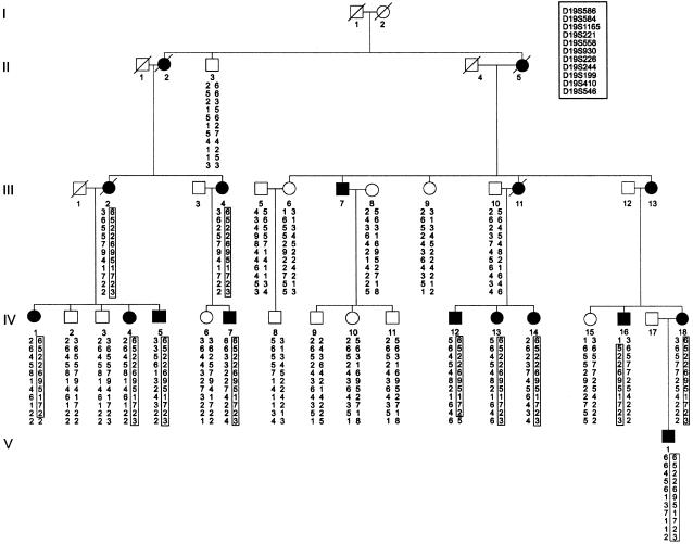 Figure  2