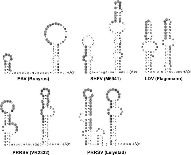 FIG. 8.