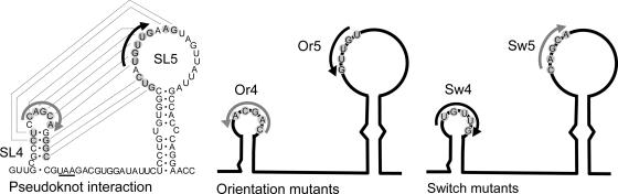 FIG. 5.